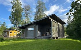 Harmaalokki